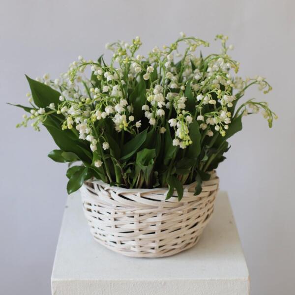 Ландыши в корзинке - 49 ландышей